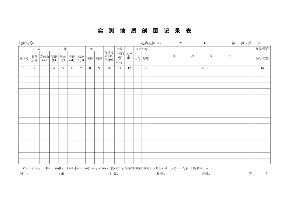 矿产调查及工程记录表格汇编_第3页