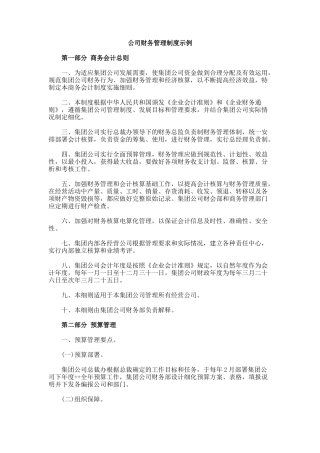 集团公司财务管理制度(185页)