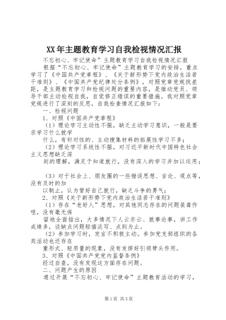 XX年主题教育学习自我检视情况汇报