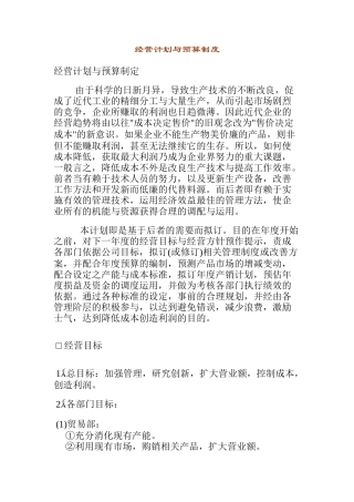 经营发展与预算管理规范