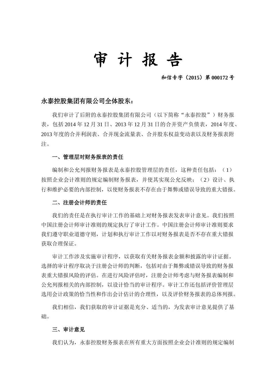 某控股集团有限公司审计报告_第3页