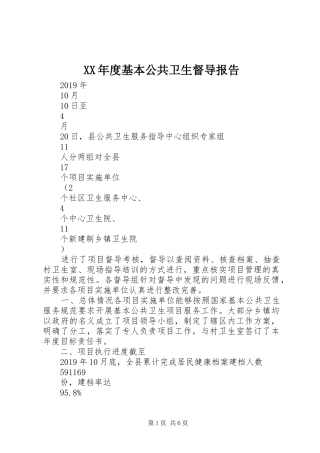 XX年度基本公共卫生督导报告