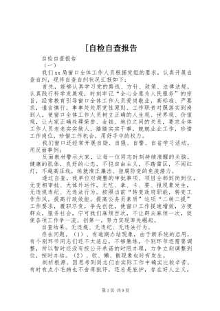 [自检自查报告