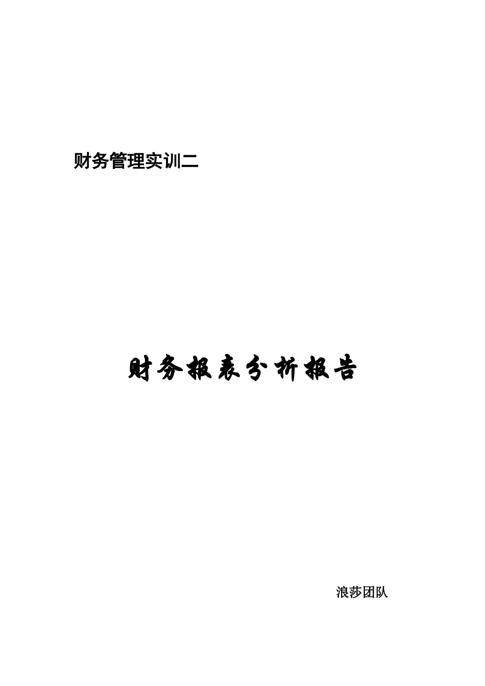 浪莎集团财务报表分析报告_第1页