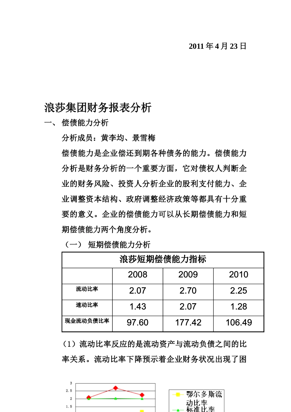 浪莎集团财务报表分析报告_第2页
