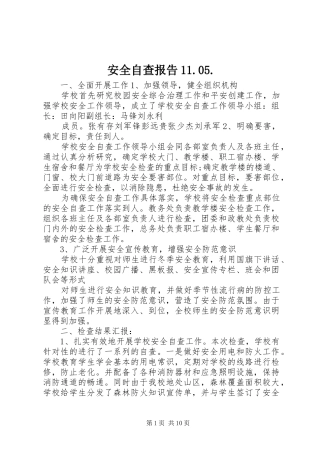 安全自查报告11.05.