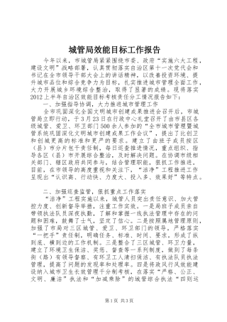 城管局效能目标工作报告