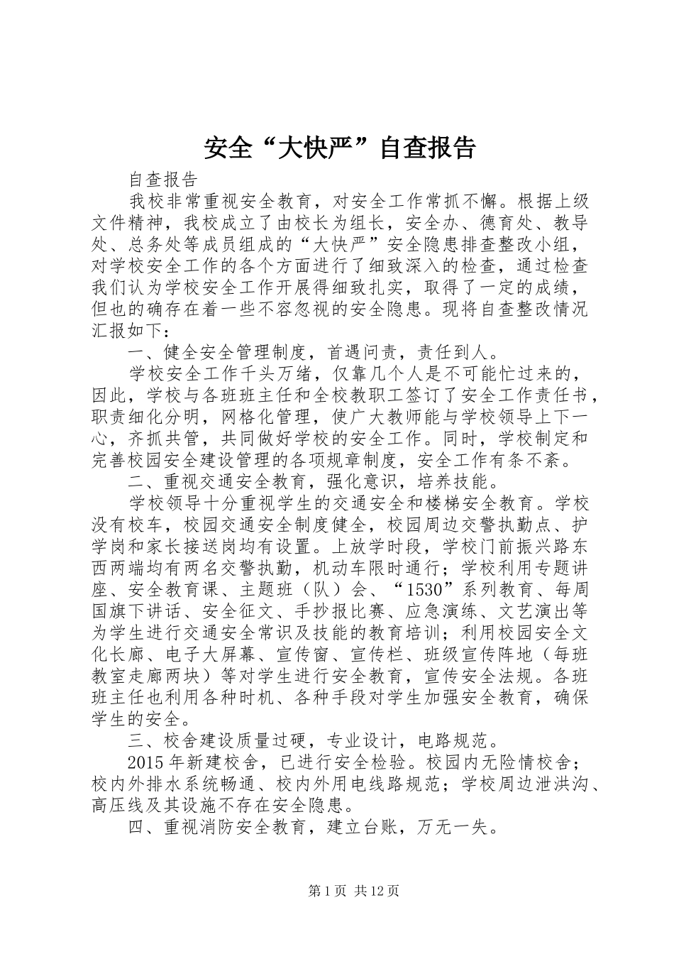 安全“大快严”自查报告_第1页