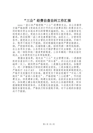 “三公”经费自查自纠工作汇报