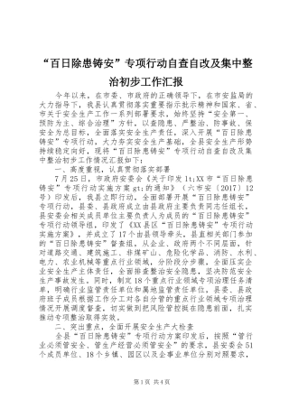 “百日除患铸安”专项行动自查自改及集中整治初步工作汇报