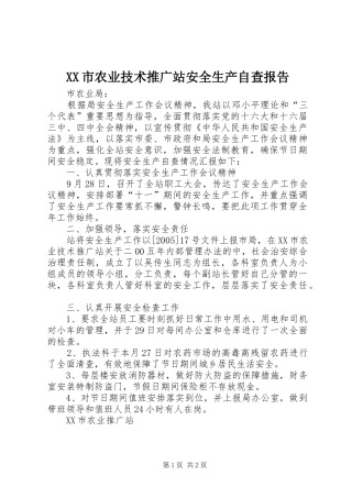 XX市农业技术推广站安全生产自查报告