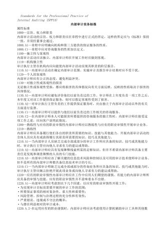 内部审计实务标准( 147页)