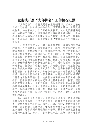城南镇开展“支部协会”工作情况汇报