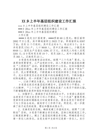 XX乡上半年基层组织建设工作汇报