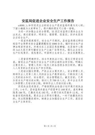 安监局促进企业安全生产工作报告