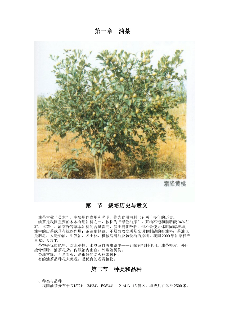 经济林栽培各论_第2页
