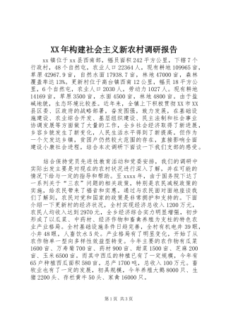 XX年构建社会主义新农村调研报告