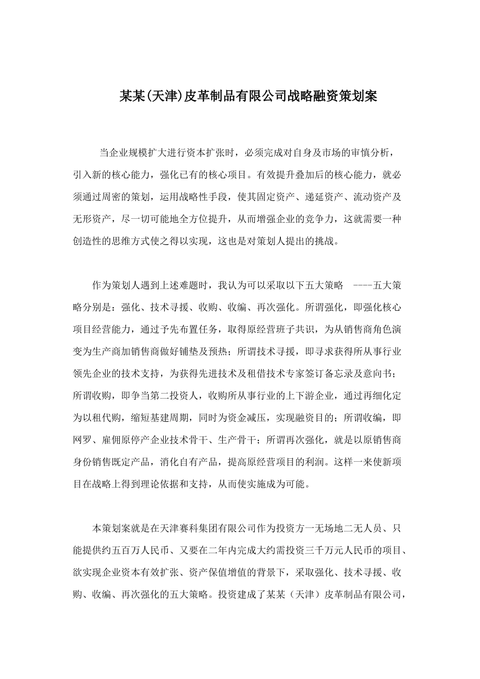 某某(天津)皮革制品有限公司战略融资策划案(10)_第1页