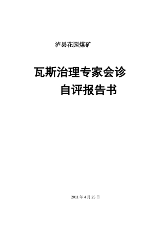 花园煤矿瓦斯治理专家会诊自评报告书