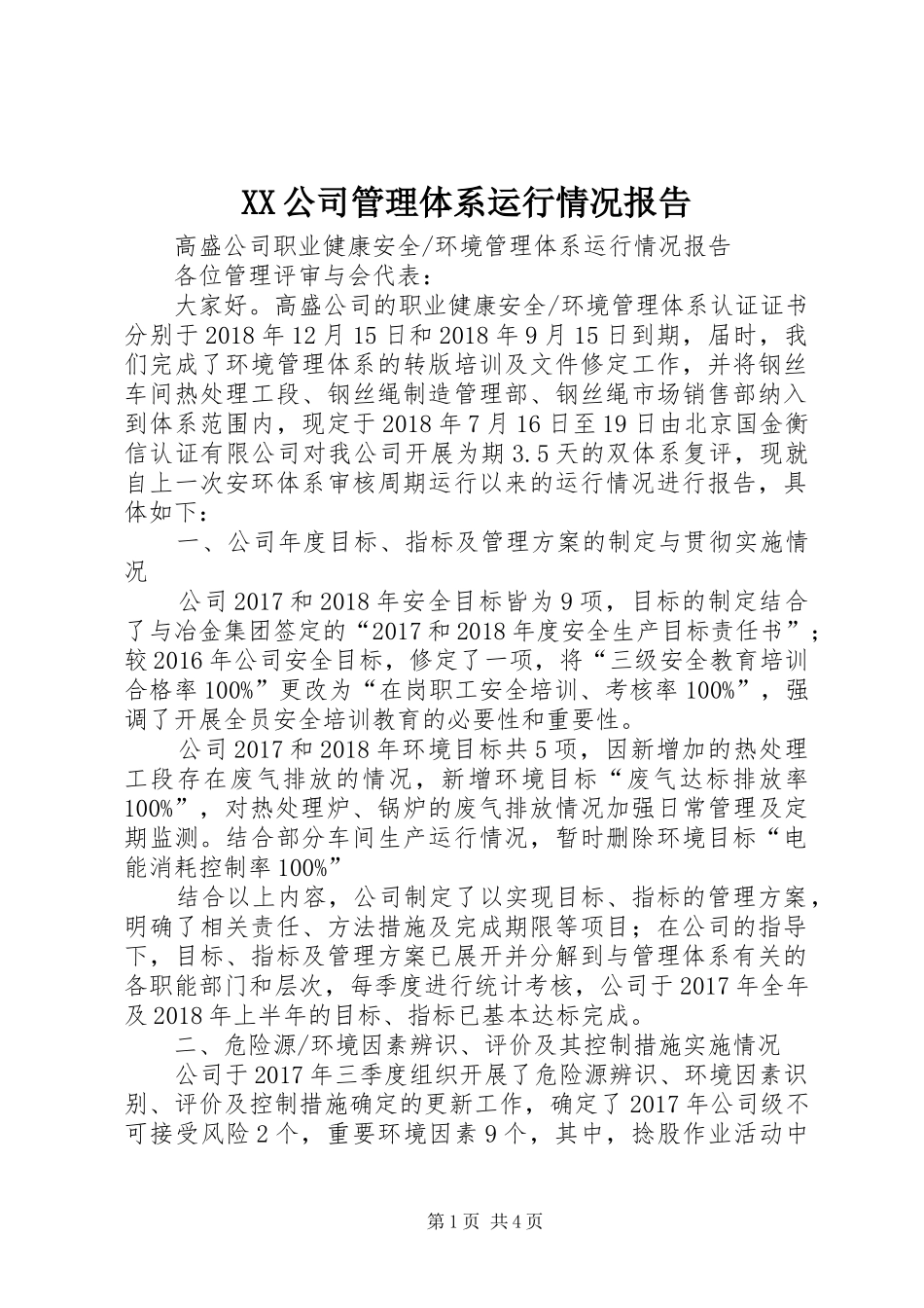 XX公司管理体系运行情况报告_第1页
