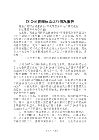 XX公司管理体系运行情况报告