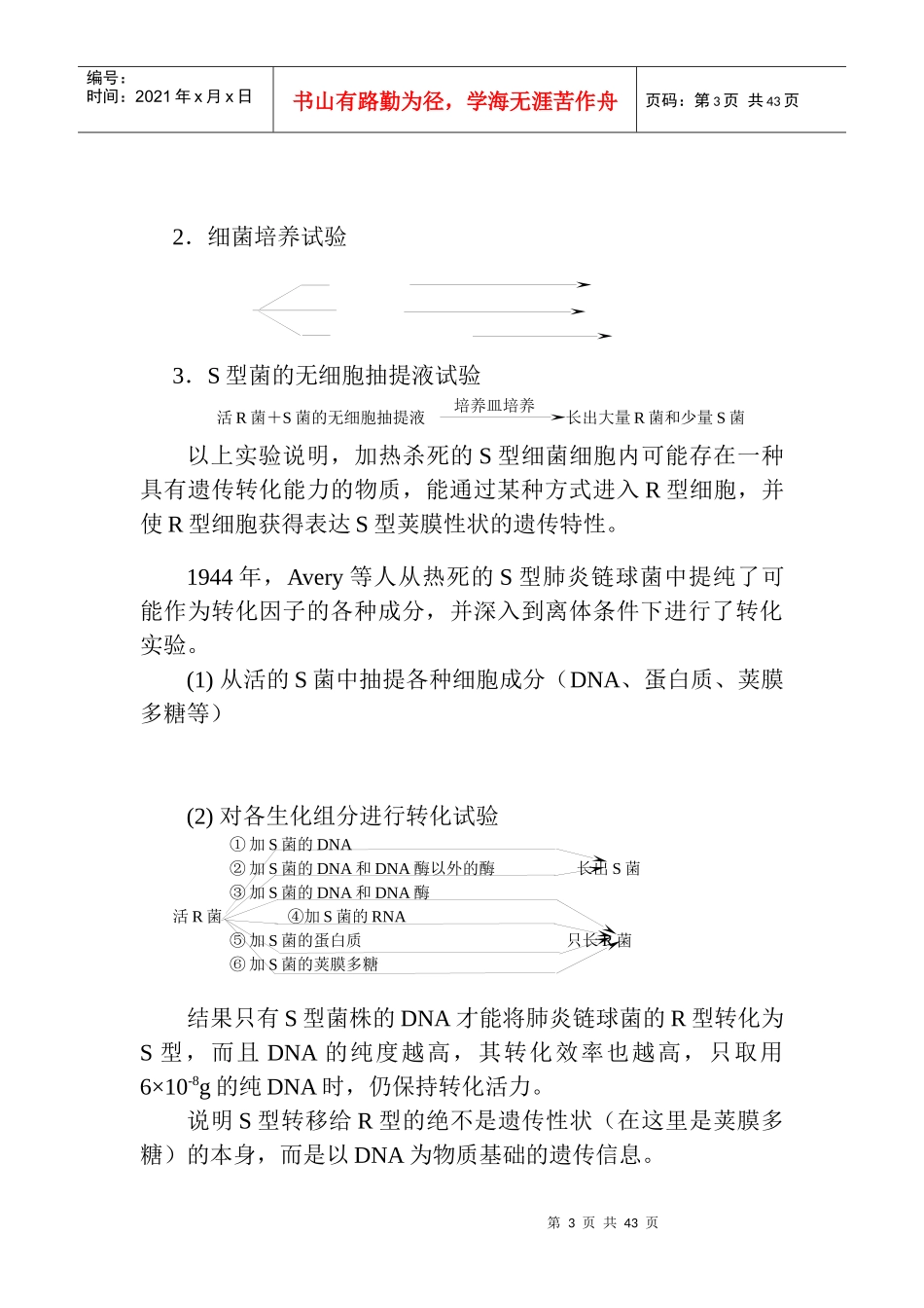 第七章 微生物的遗传变异和育种_第3页