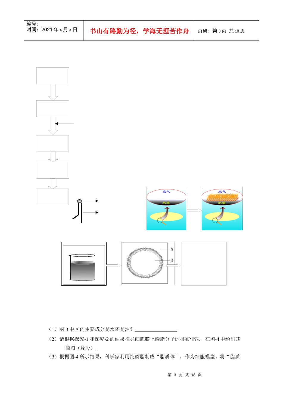 高考必备X年新课标省市高三生物模拟题分类 分子与细胞_第3页