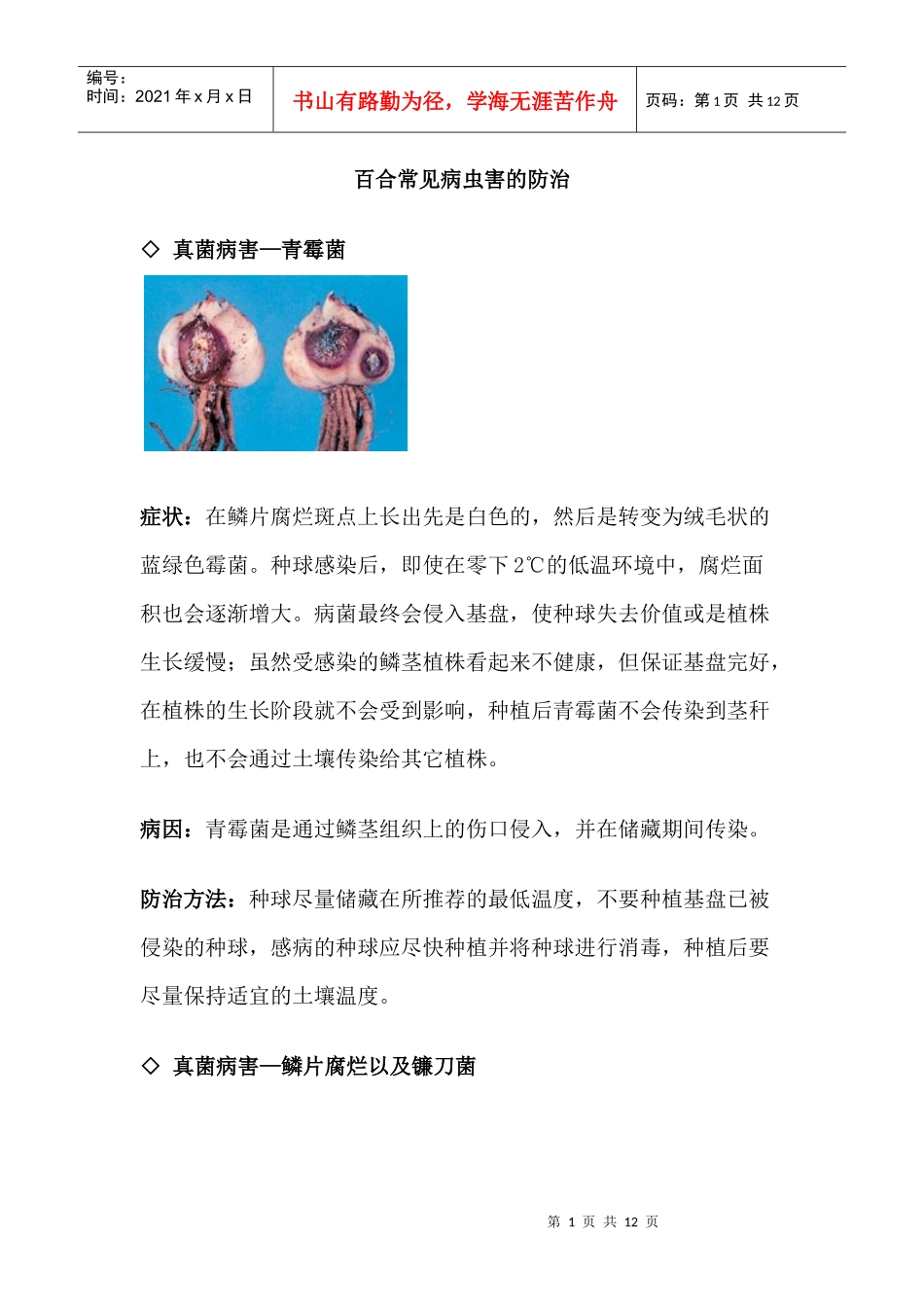 百合常见病虫害的防治知识_第1页