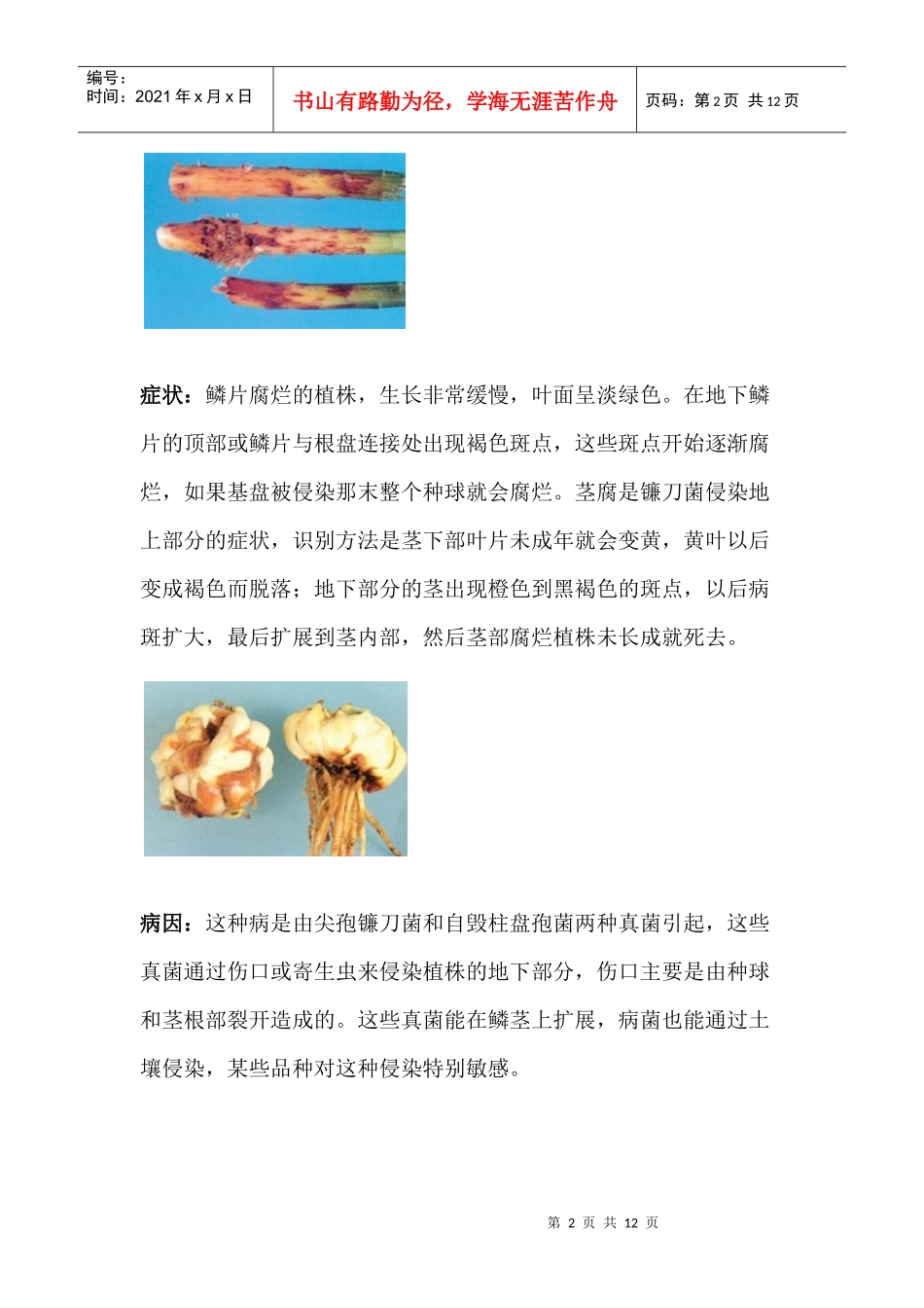 百合常见病虫害的防治知识_第2页