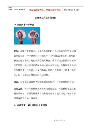 百合常见病虫害的防治知识