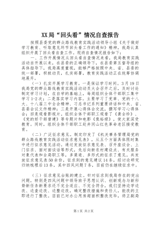 XX局“回头看”情况自查报告