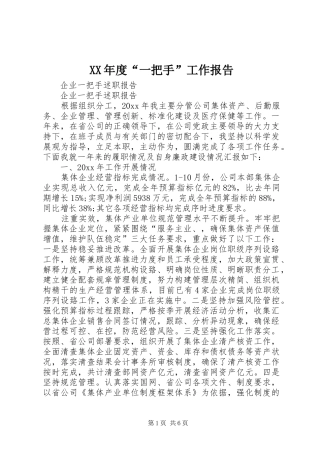 XX年度“一把手”工作报告