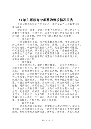 XX年主题教育专项整治整改情况报告