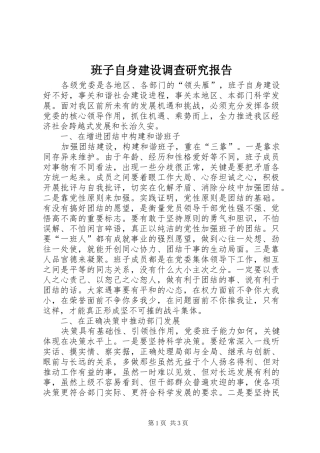 班子自身建设调查研究报告