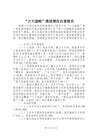“六大战略”推进情况自查报告