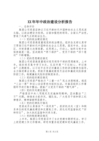 XX年年中政治建设分析报告