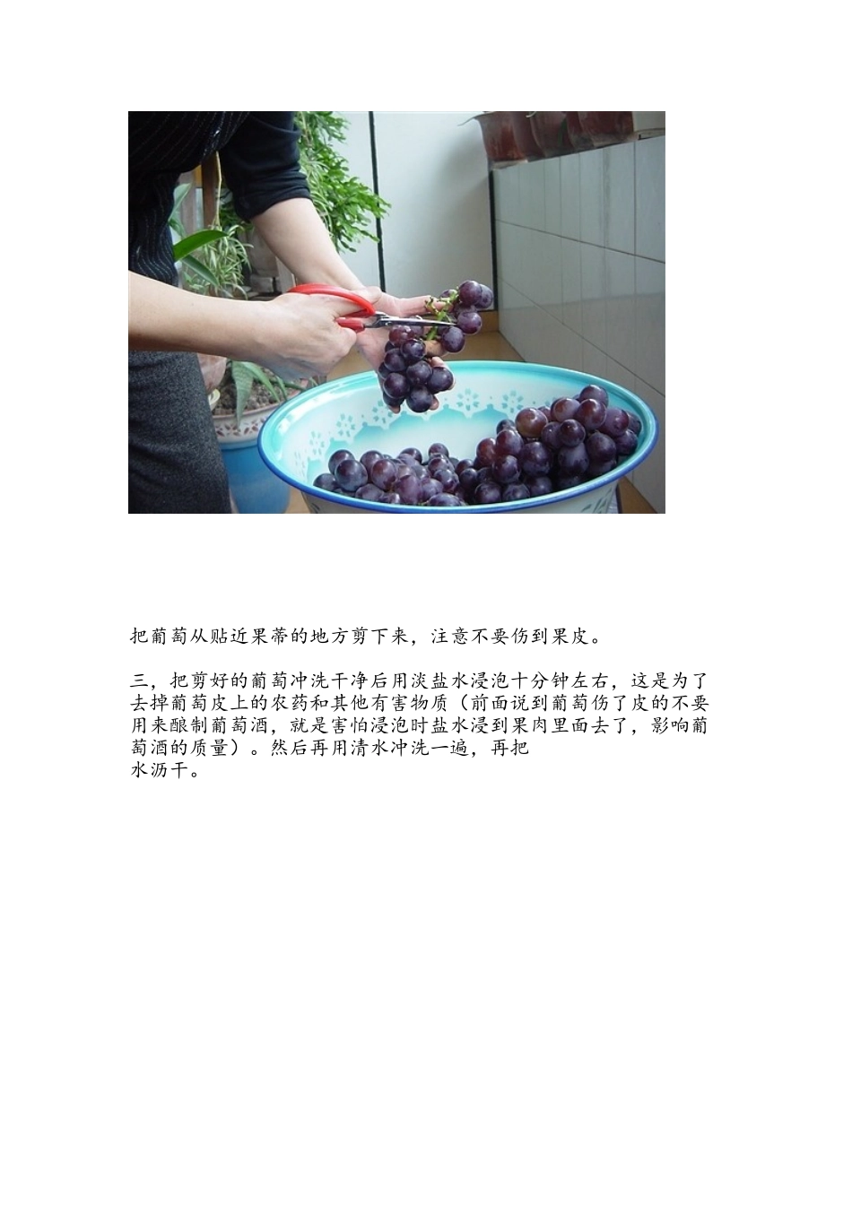 家庭酿制的红葡萄酒味道纯正62921_第2页