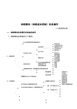 纳税筹划实务操作( 15页)