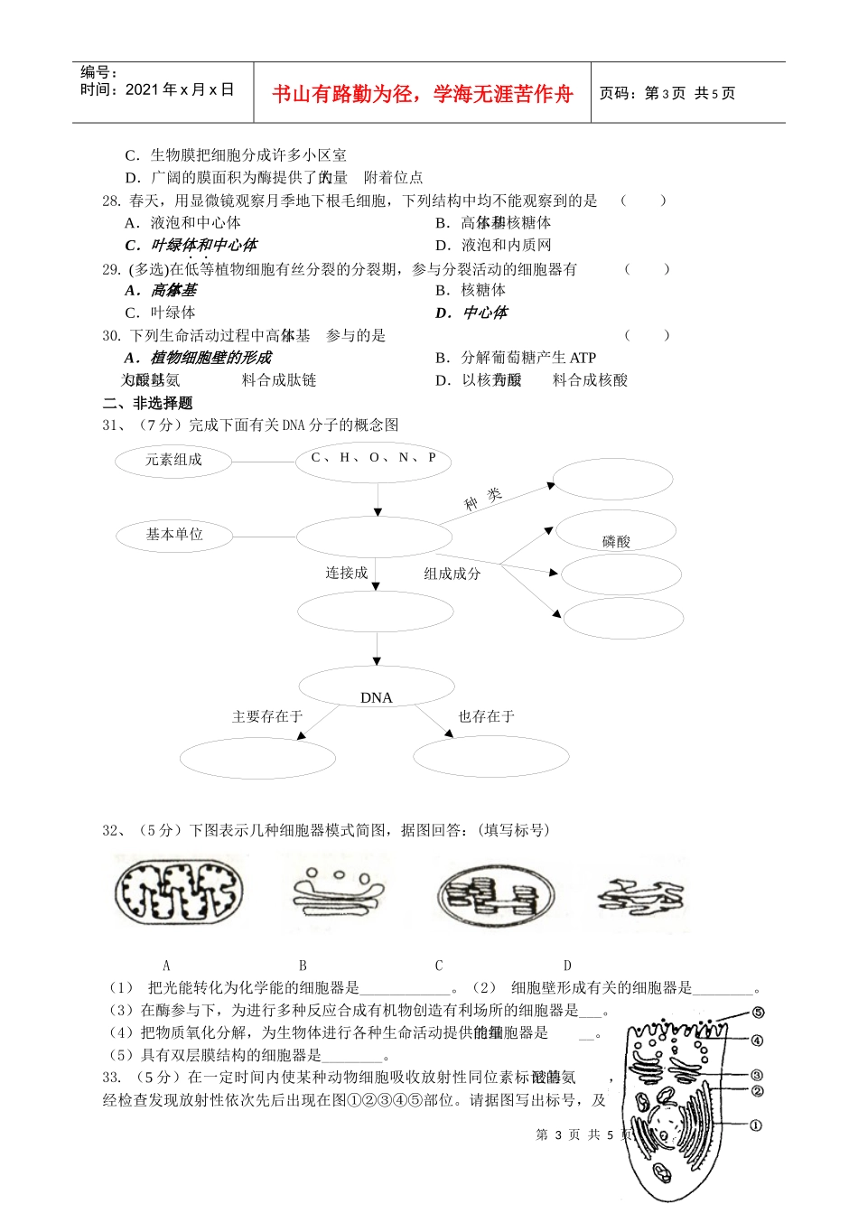 细胞结构与功能练习doc-生物世纪_第3页