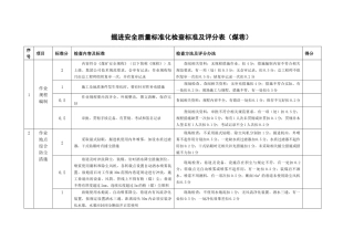 掘进安全质量标准化检查标准及评分办法(煤巷)