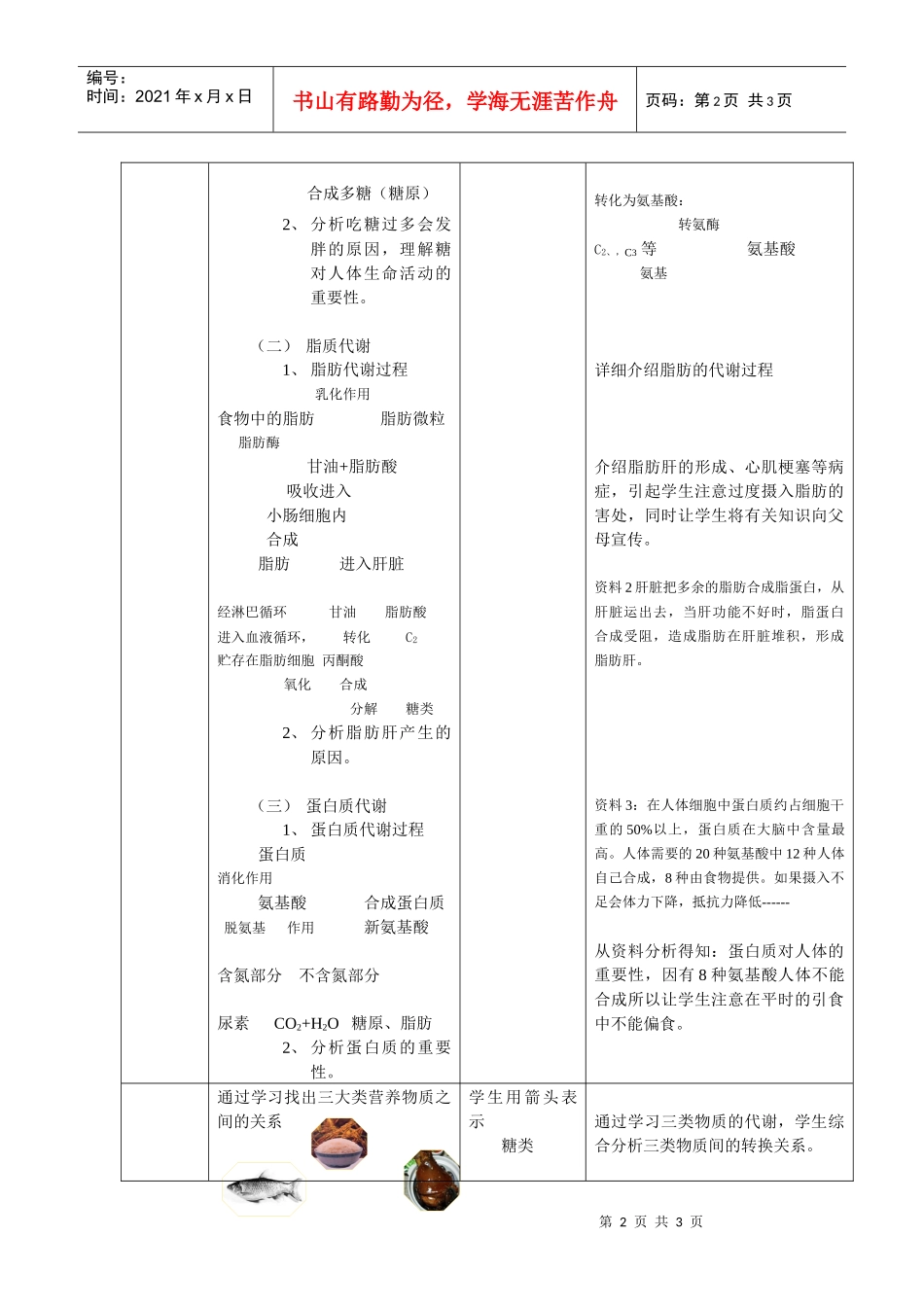 第三节生物体内营养物质的转换doc-第三节生物体内营养物_第2页