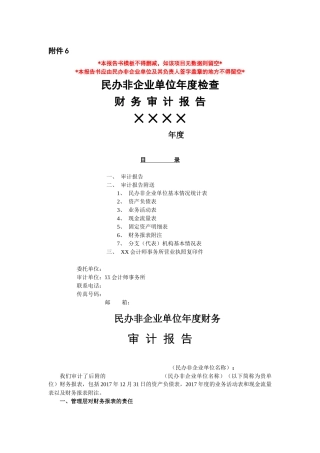 民办非企业单位审计报告模板
