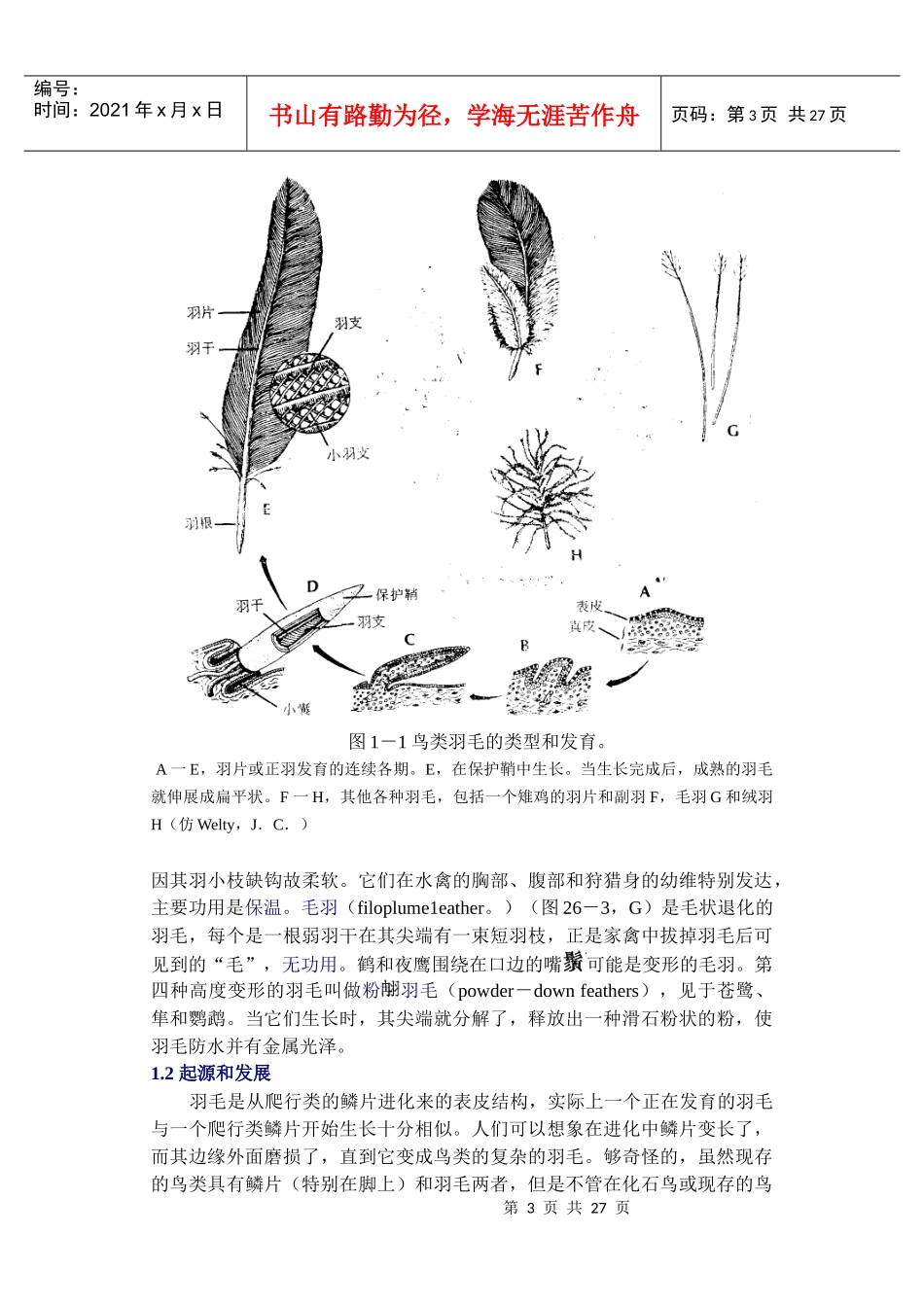 鸟类资料(生物高等)_第3页