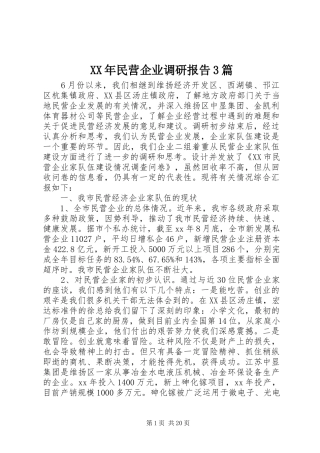 XX年民营企业调研报告3篇