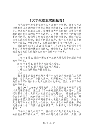 《大学生就业实践报告》