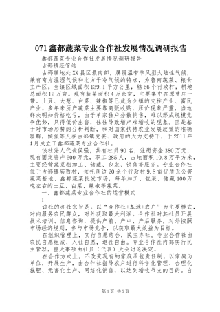 071鑫都蔬菜专业合作社发展情况调研报告