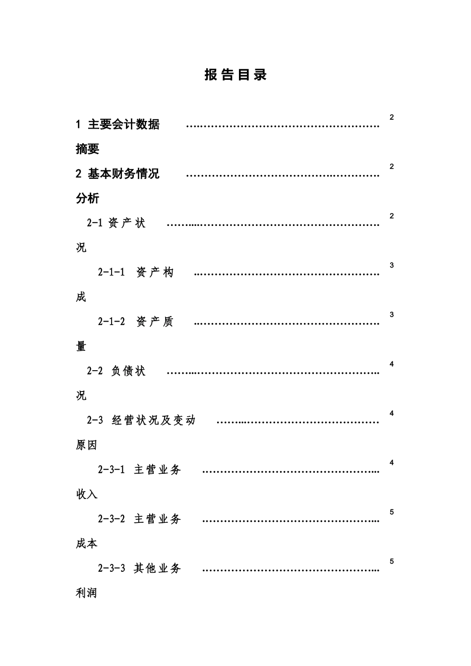 丽大财务分析报告(周义武制定）_第2页