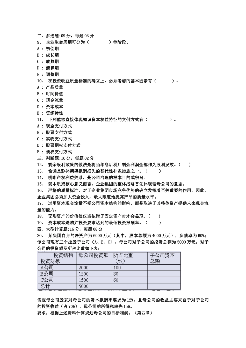 集团公司实际进行资本分配预算_第2页