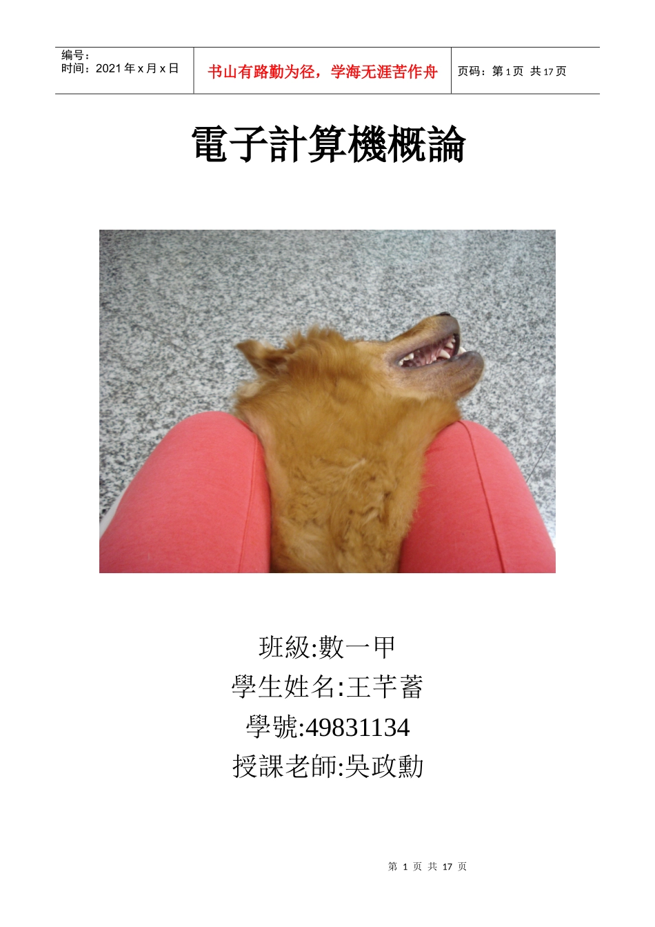 电子计算机概论_第1页