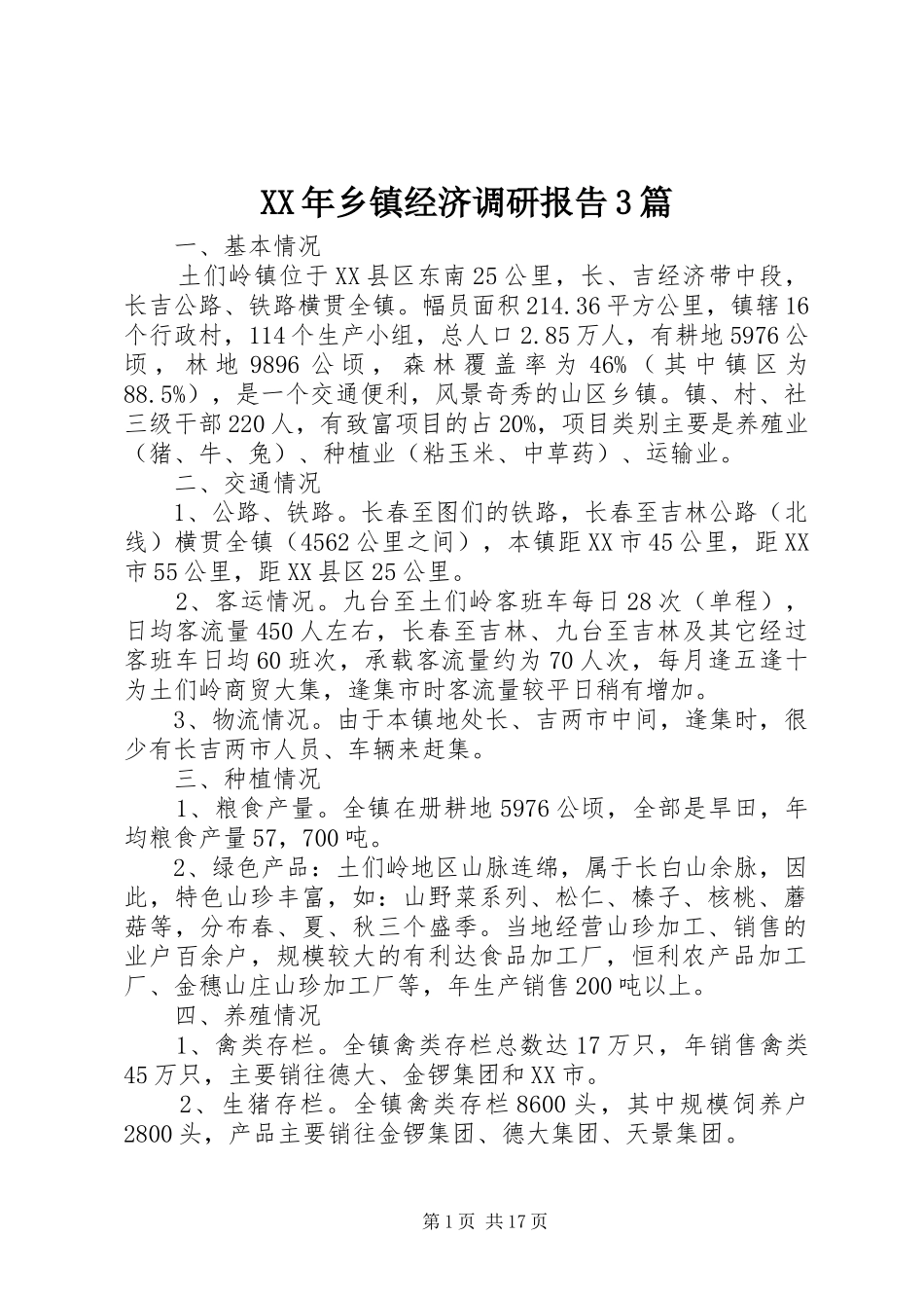 XX年乡镇经济调研报告3篇_第1页